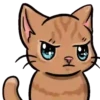 Cats  Cats   gatos  mov 17