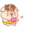 Shine Pig   mov 16