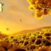 Girasoles 1 20