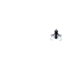 Insects 24