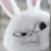 Snowball reacciones 3   MOV 13