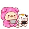 Shine Pig   mov 17