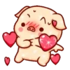 Shine Pig 2   mov 18