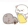 Peach Cat 1 17
