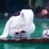 Snowball reacciones 3   MOV 15