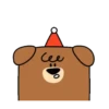 Perro cuadrado 10