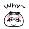 Funny panda MOV 16