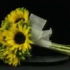 Girasoles 1 21