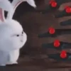 Snowball reacciones 3   MOV 19
