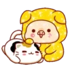 Shine Pig   mov 20