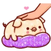 Shine Pig   mov 22