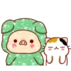 Shine Pig   mov 23