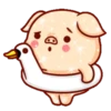 Shine Pig 2   mov 22