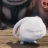 Snowball reacciones   MOV 18
