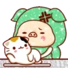 Shine Pig   mov 25