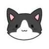 Cats  Cats   gatos  mov 20