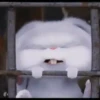 Snowball reacciones   MOV 20