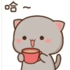 Peach Cat 1 24