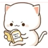 Peach Cat 1 26