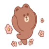 ️Lovely Brown & Sally 22