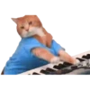 Cats  Cats   gatos  mov 22
