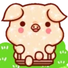 Shine Pig 2   mov 26