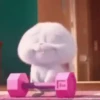 Snowball reacciones   MOV 25