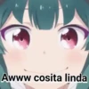 Kuma Kuma Kuma bear 28