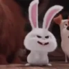 Snowball reacciones   MOV 26