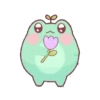 Rãs 24