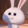 Snowball reacciones   MOV 28