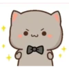 Peach Cat 1 30