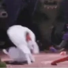 Snowball reacciones 3   MOV 30