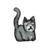 Cats  Cats   gatos  mov 30