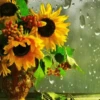 Girasoles 1 30