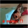 gatitos lindos  ️.mov 5
