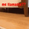 gatitos lindos  ️.mov 9
