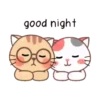 Buenas noches 1 7