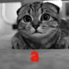gatitos lindos  ️.mov 10