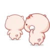 Pinches cerdos 2 5