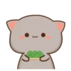 MOCHIS🐈CAT Extra"E" MOV 5