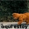 Garfield 2 MOV✰✰✰ 9