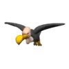 Aves Variado   Mov.1712 7