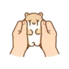 Hamster Mochi  Mov 10