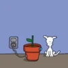 Perrito Blanco 10