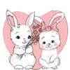 Rabbit.Movi 11