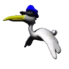 Aves Variado   Mov.1712 8