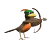 Aves Variado   Mov.1712 9