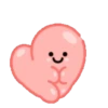 ️Pink maxi  MOV 7