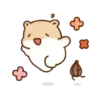 Hamster Mochi  Mov 14